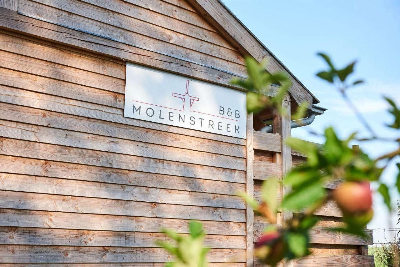 B&B Molenstreek Groningen Eksteriør billede